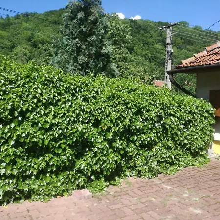 Csillag Vendeghaz