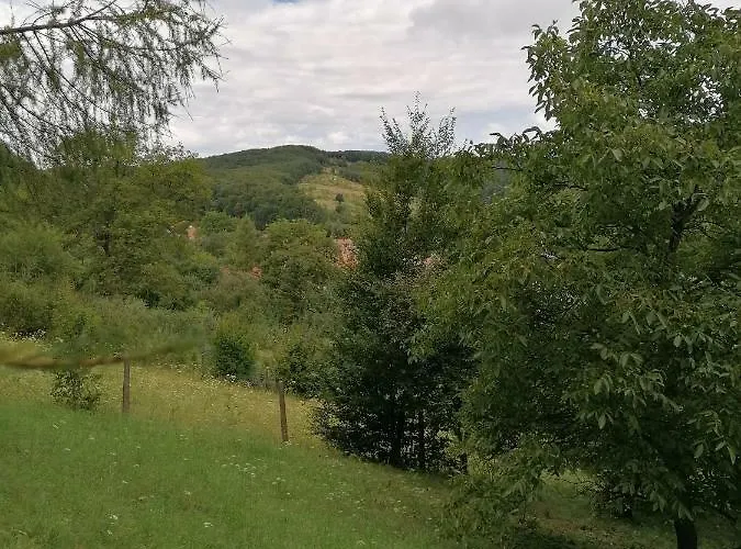 Csillag * Répáshuta